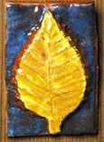 Beech