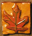 Maple