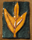 Sassafras