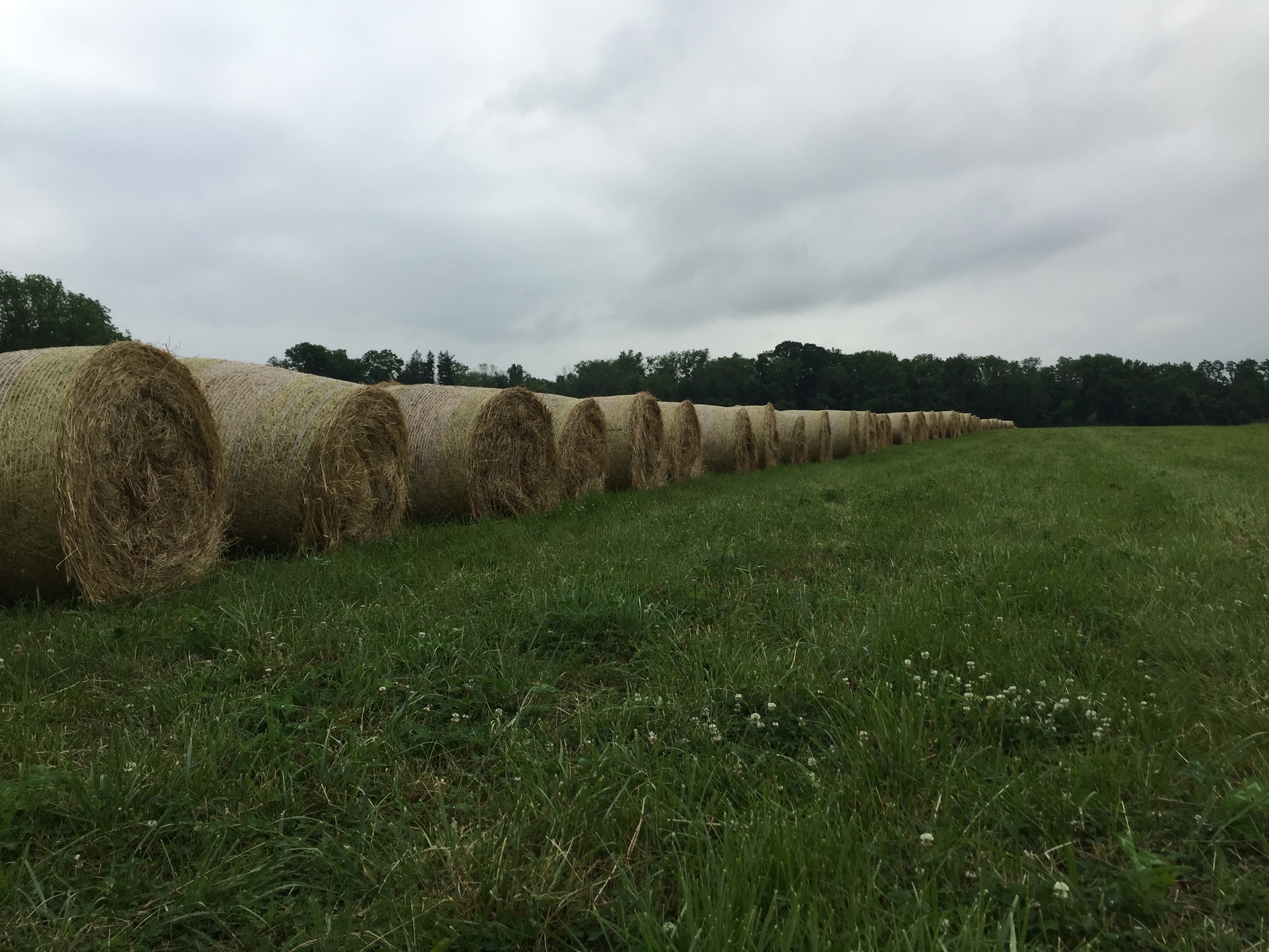 As far as the eye can see