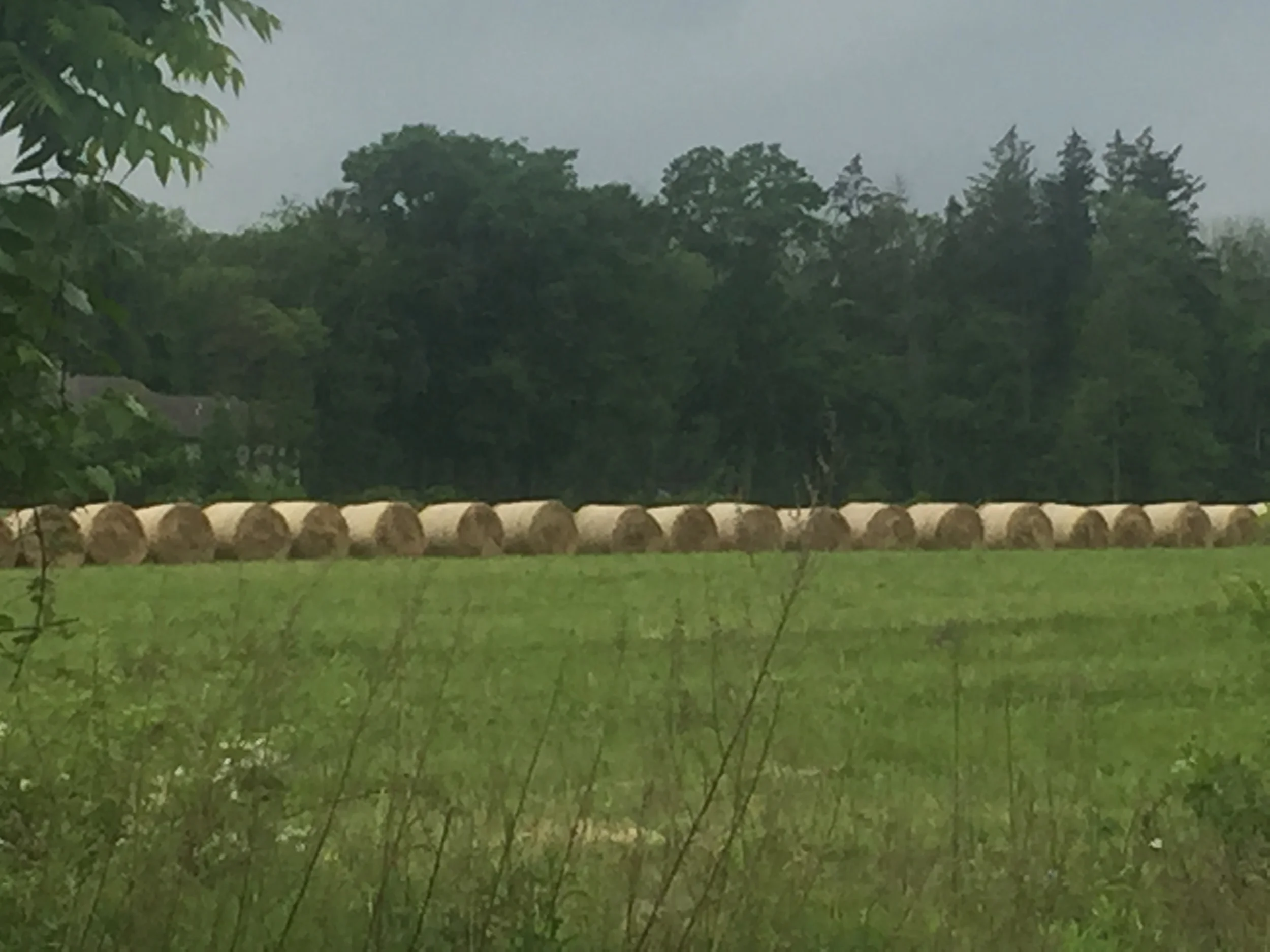 Hay Fortress