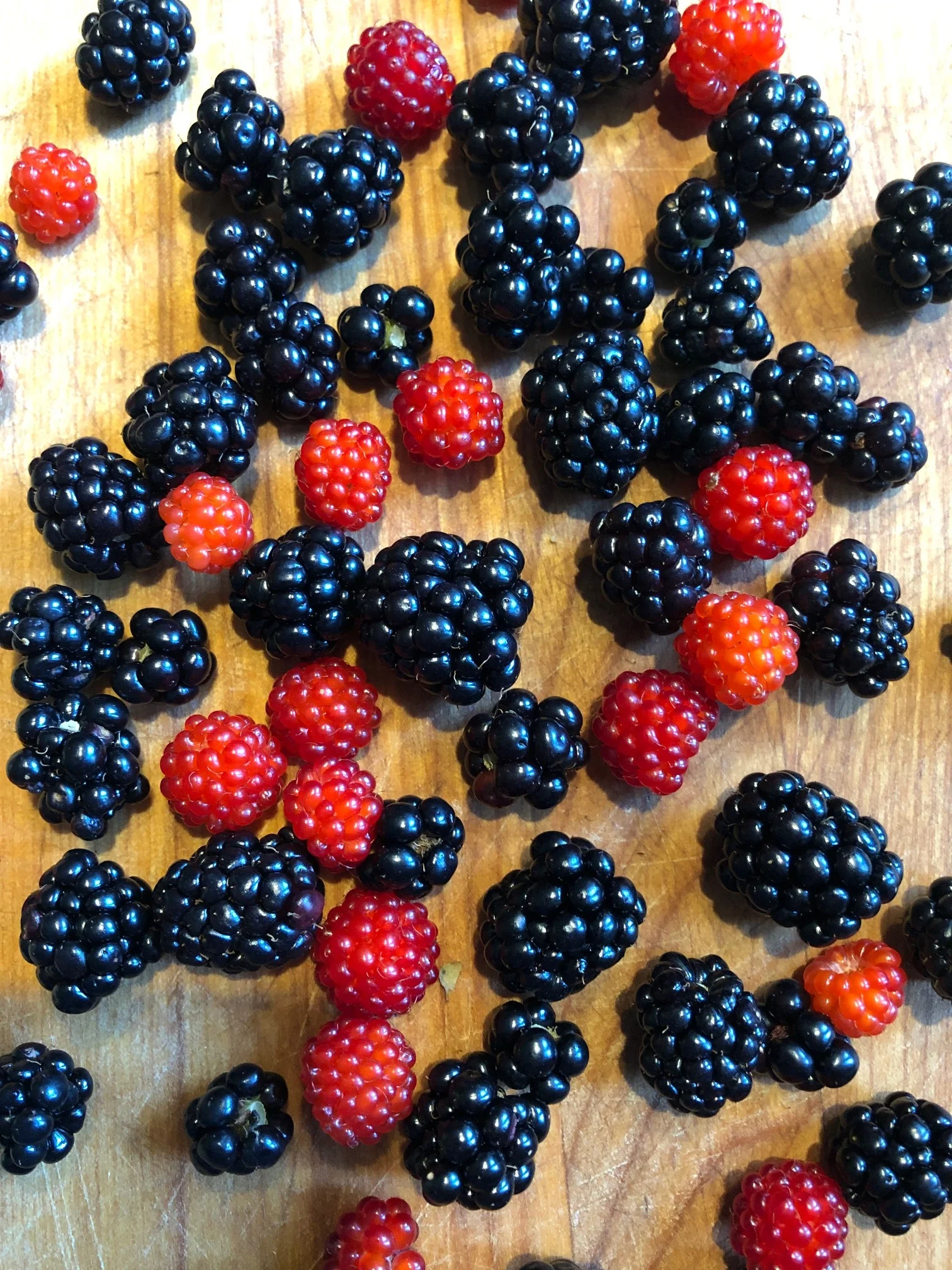 It's Berry Season!