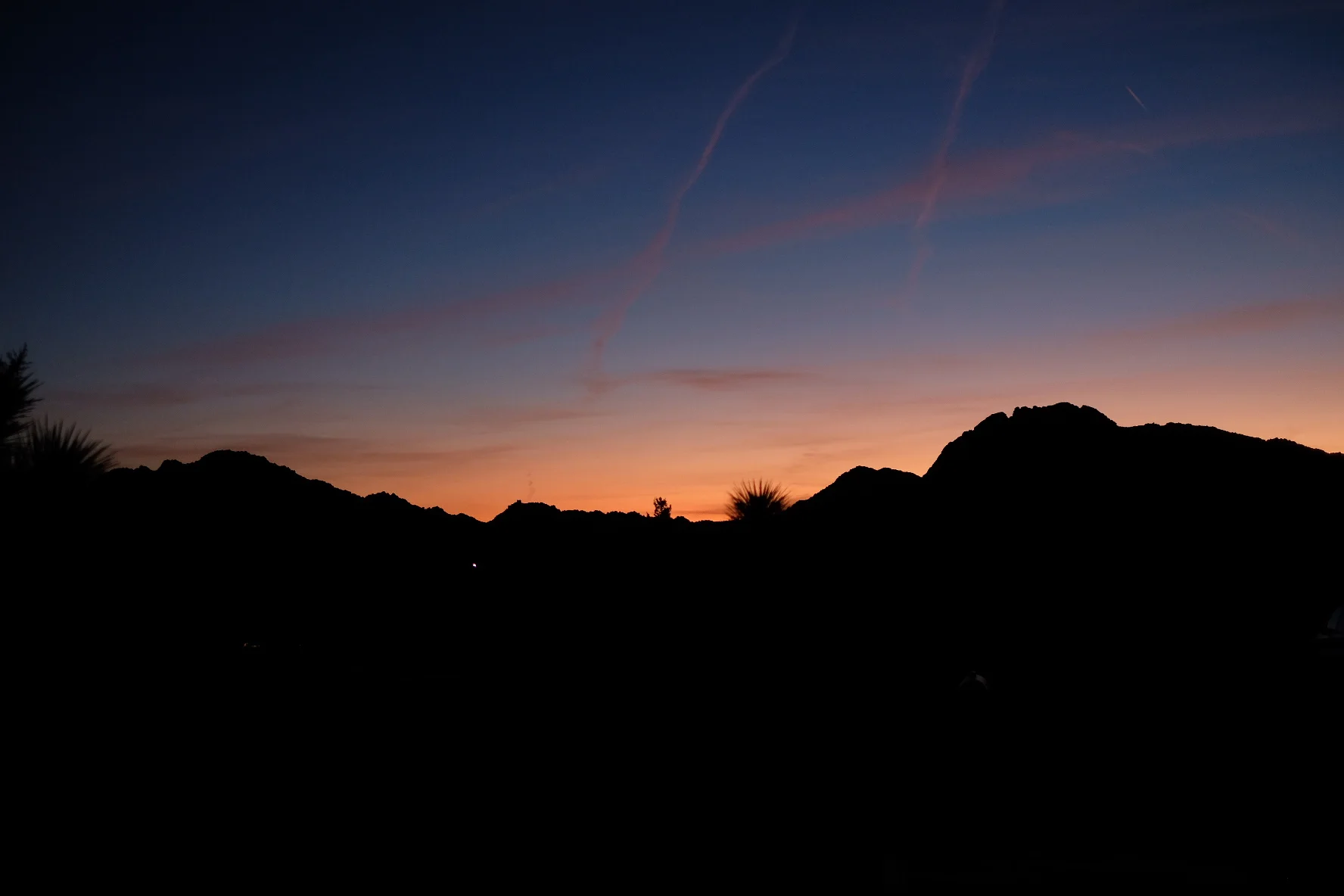 Joshua Tree 3