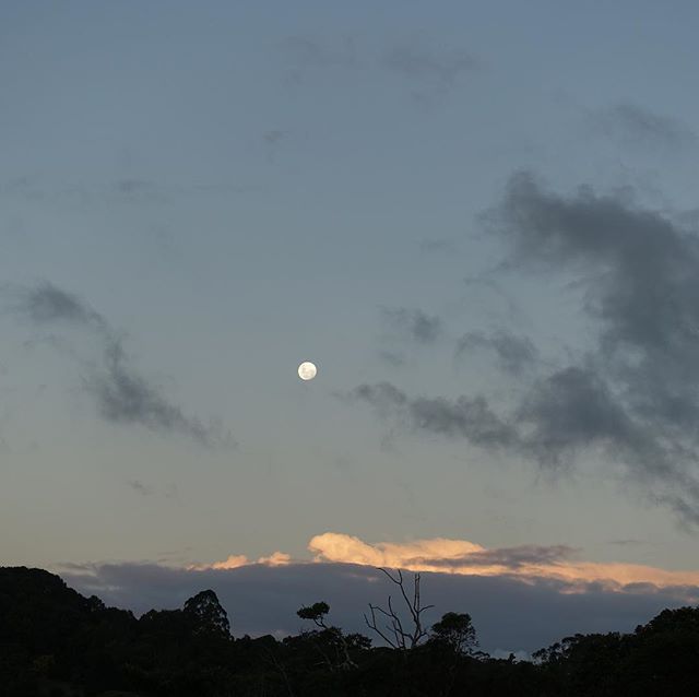 Almost full moon at Lune de Sang...worried that clouds may obscure tonite&rsquo;s blood moon eclipse...