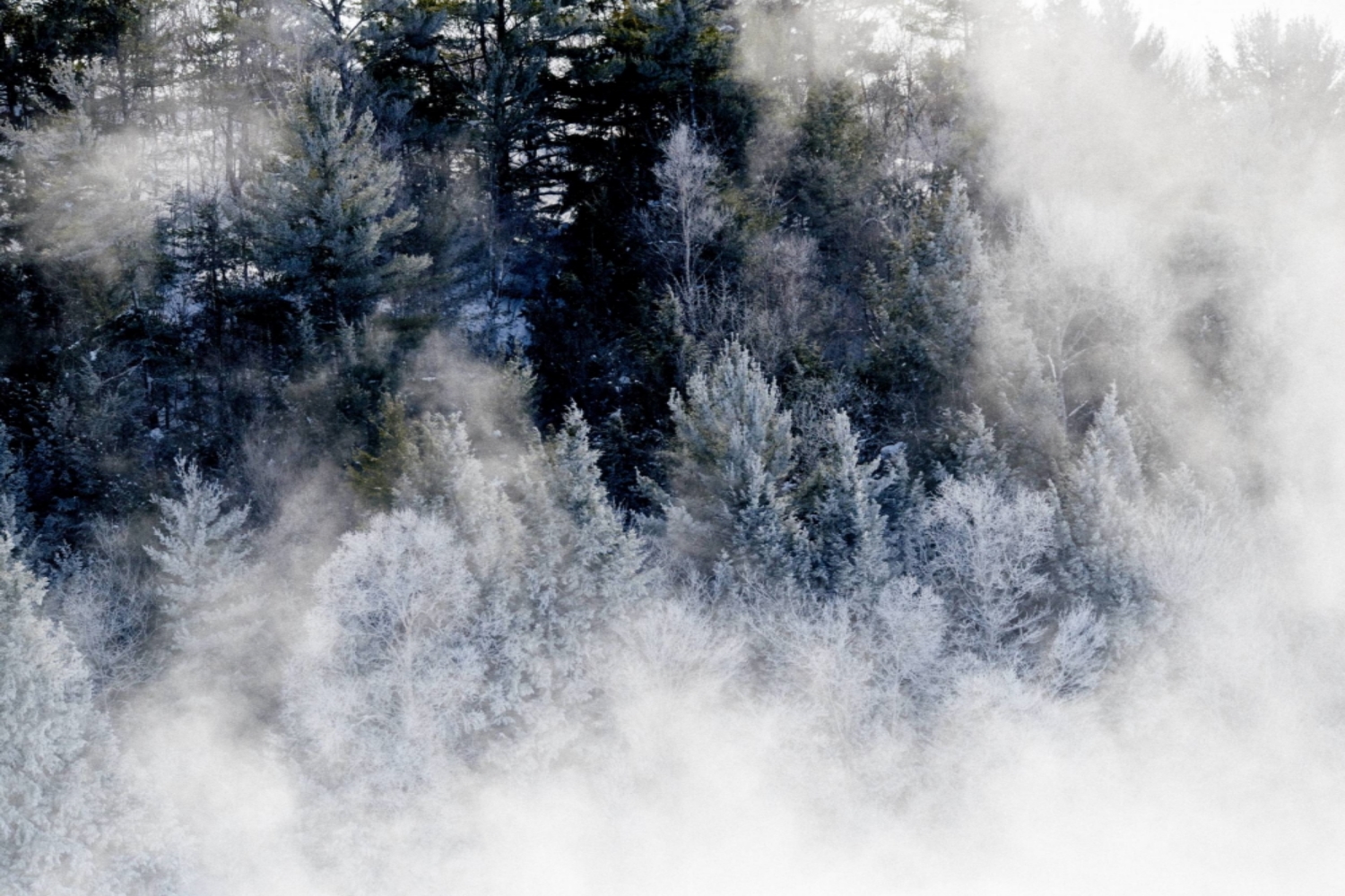 Ice Fog I