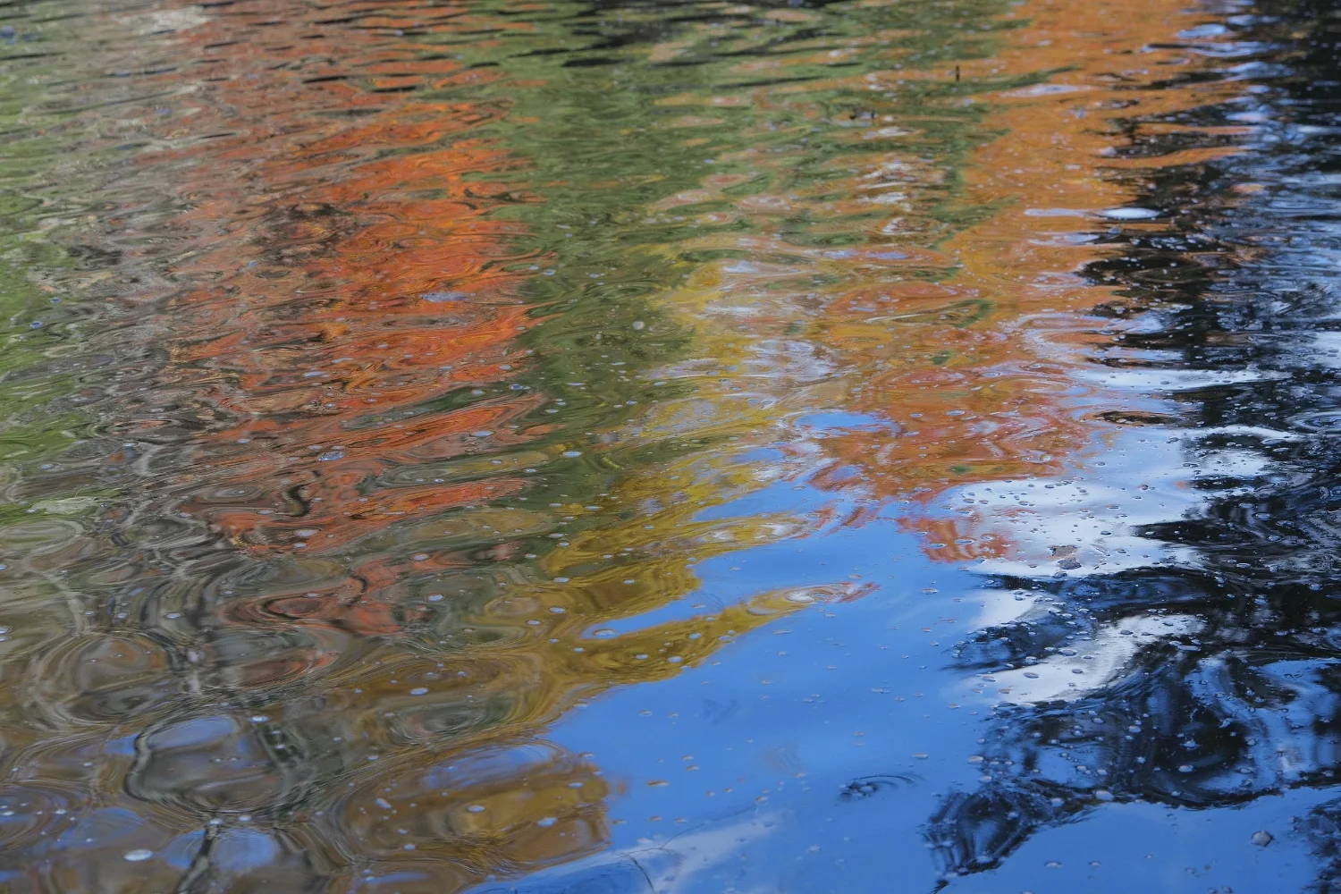 Fall Reflections 1