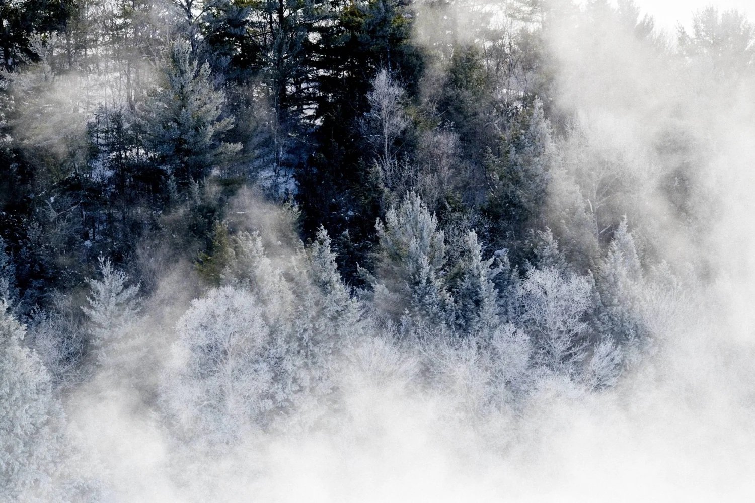 Parry Sound Ice Fog