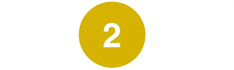 2_yellow'.jpg