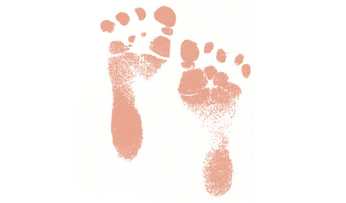 pinkfeet.jpeg
