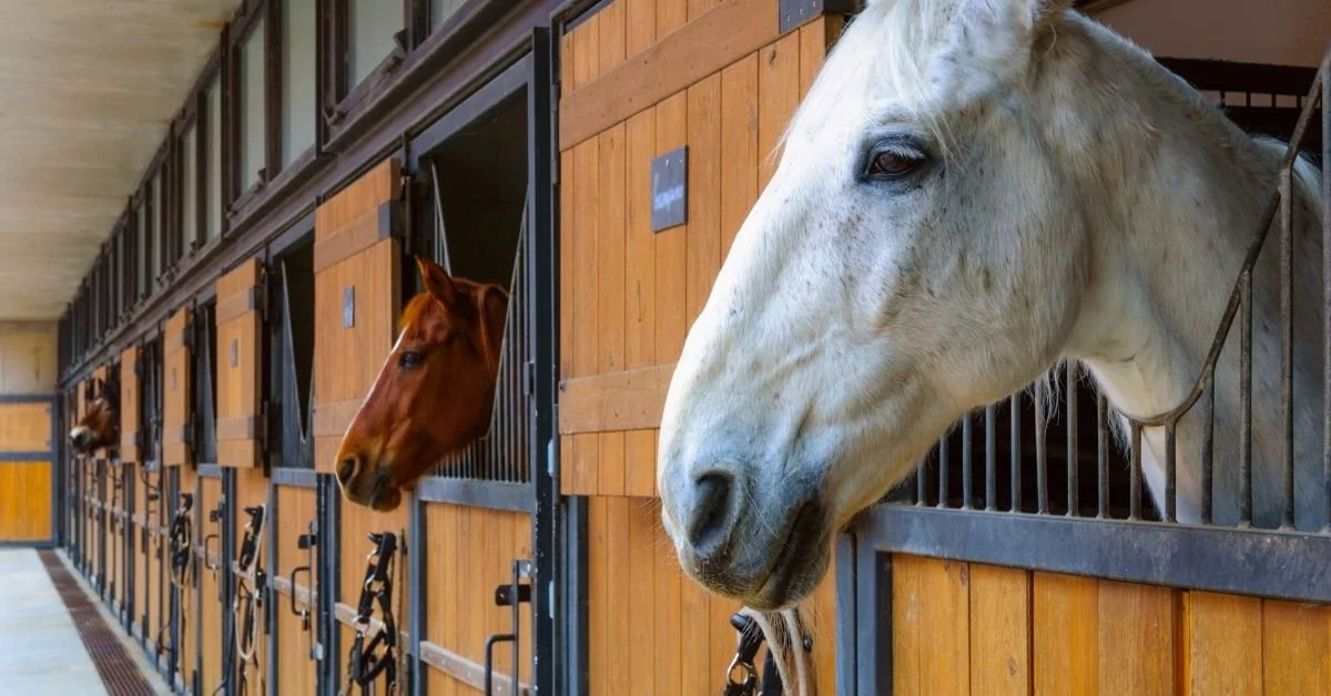 Explore Metamora Horse Country on the 2026 Metamora Hunt Stable Tour