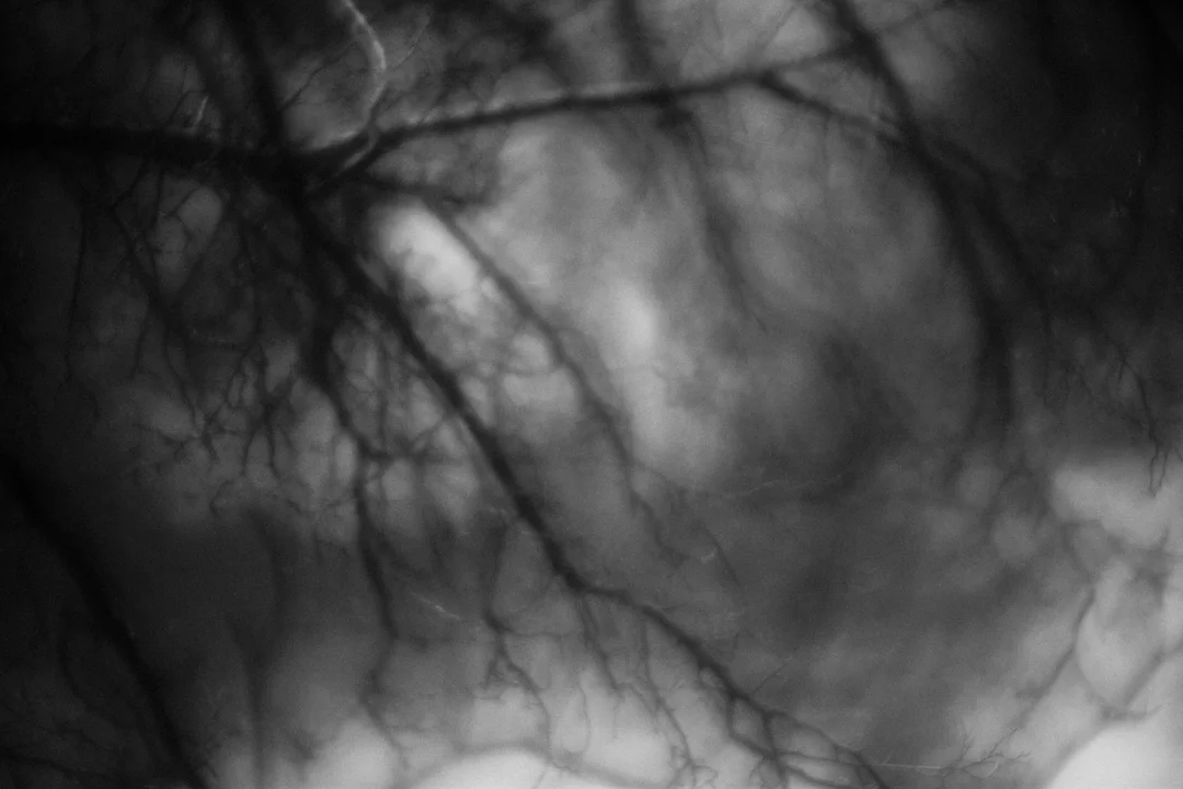 CoveredCarRioGrandeTaped_BW_w.jpg