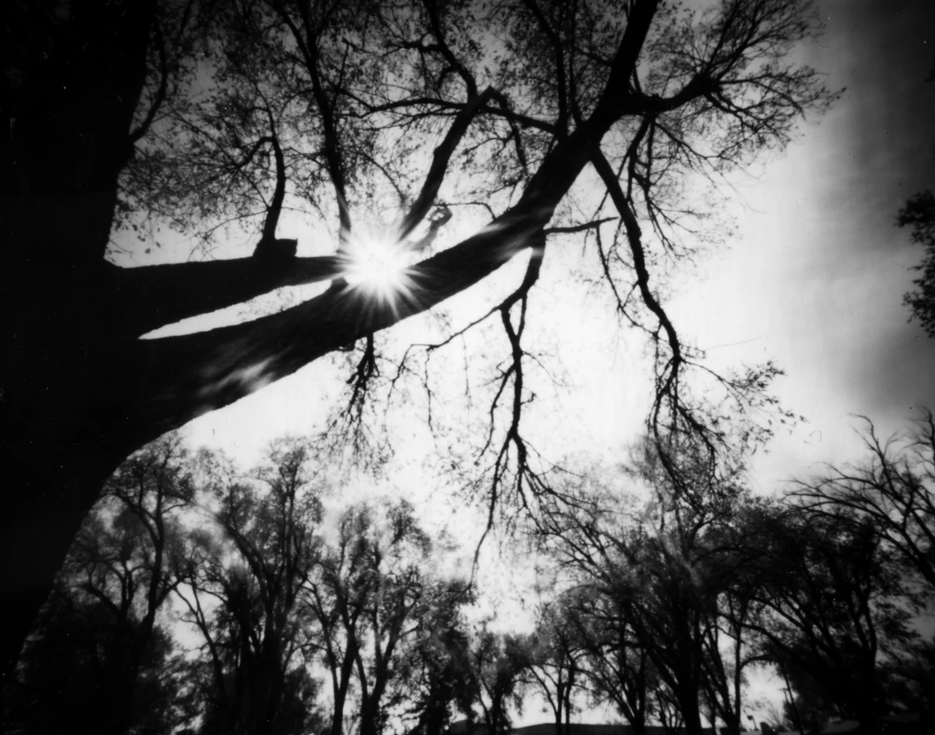 PinholeScan2.jpg