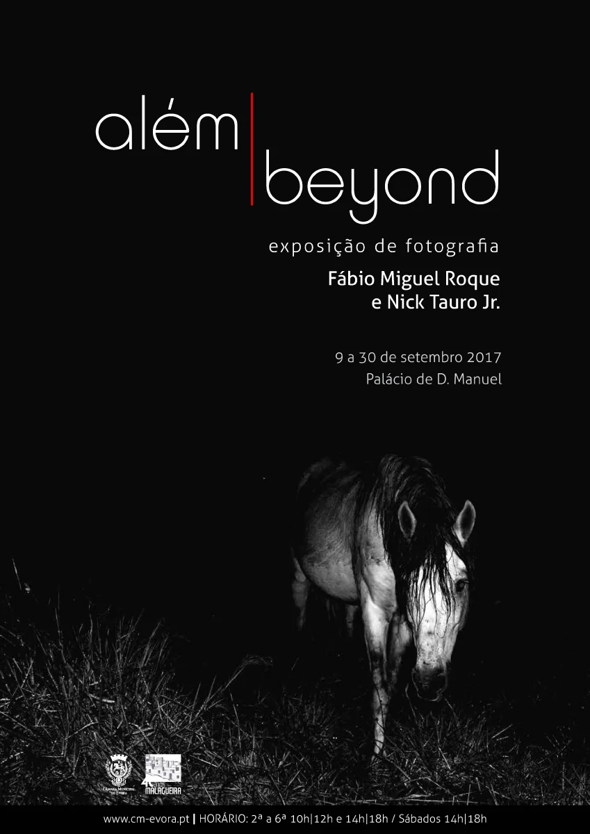beyond-cartaz_Page_1_sm.jpg