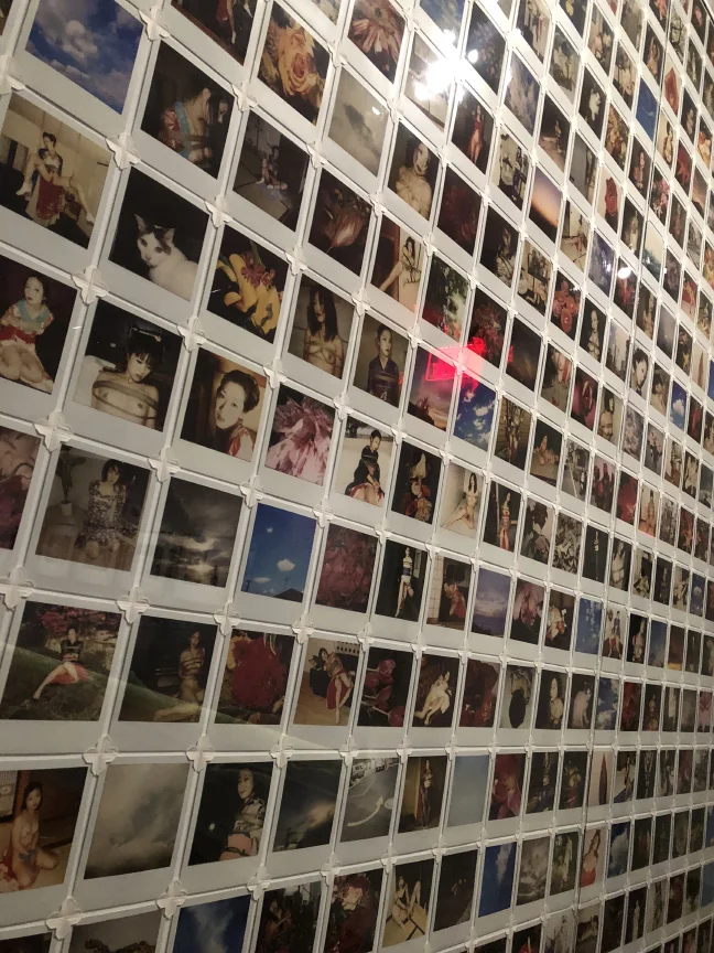 Wall of Araki Polaroids.