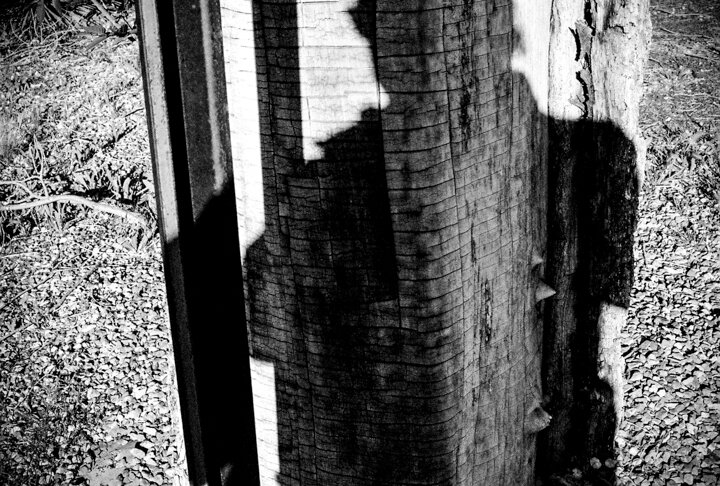 Shadows_Covid-22.jpg