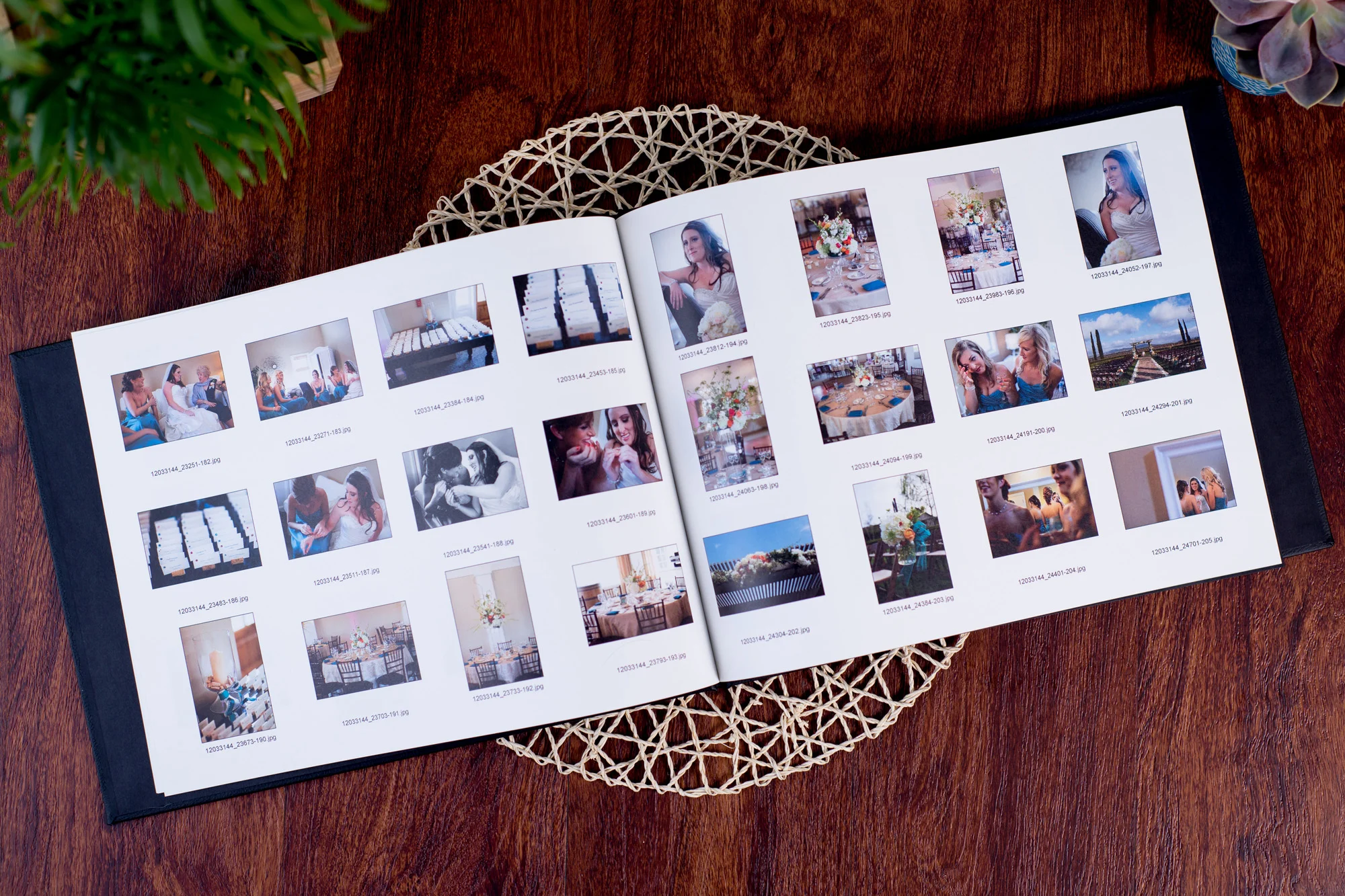 Prints - Proof Books from ProDPI.jpg
