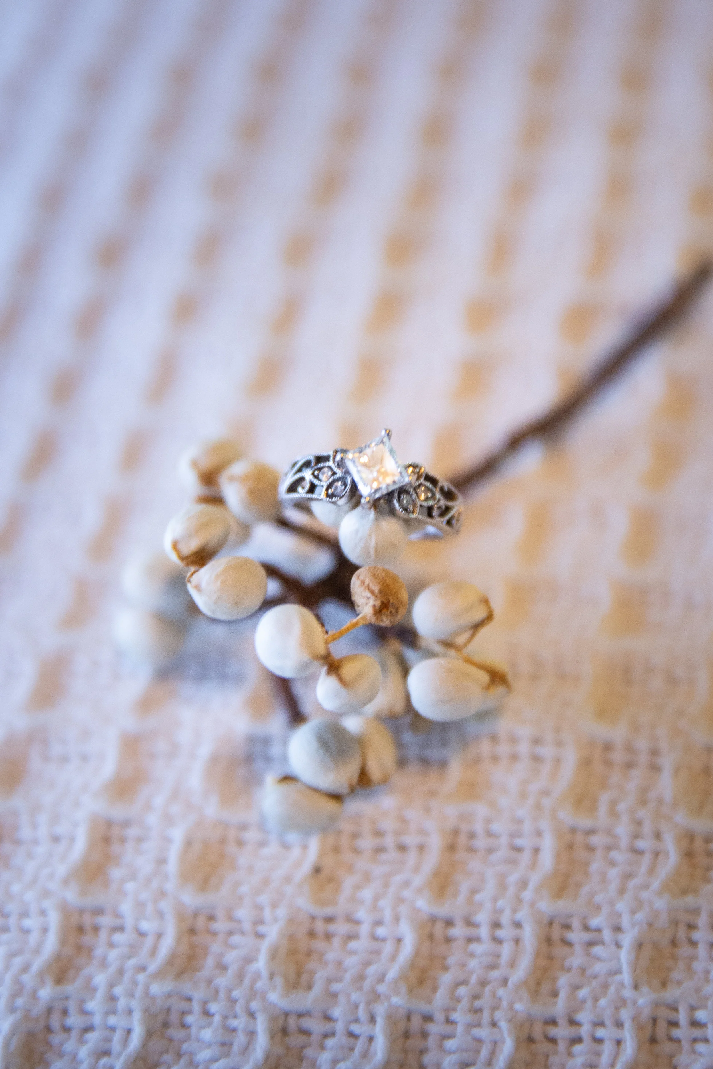 Lindsey_180910-007_0008_KPorterPhoto.jpg