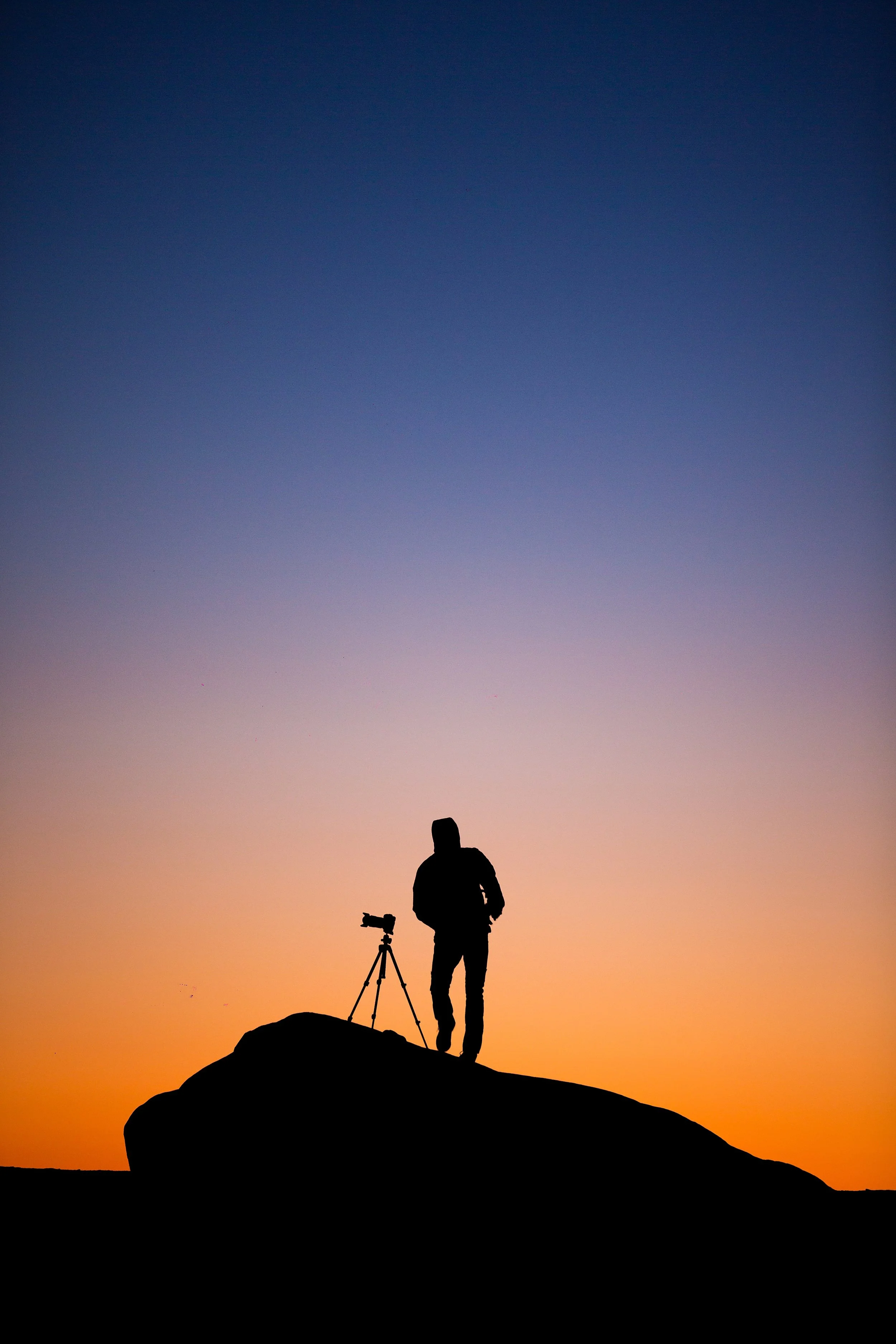 The Many Specialties of Professional Photographers