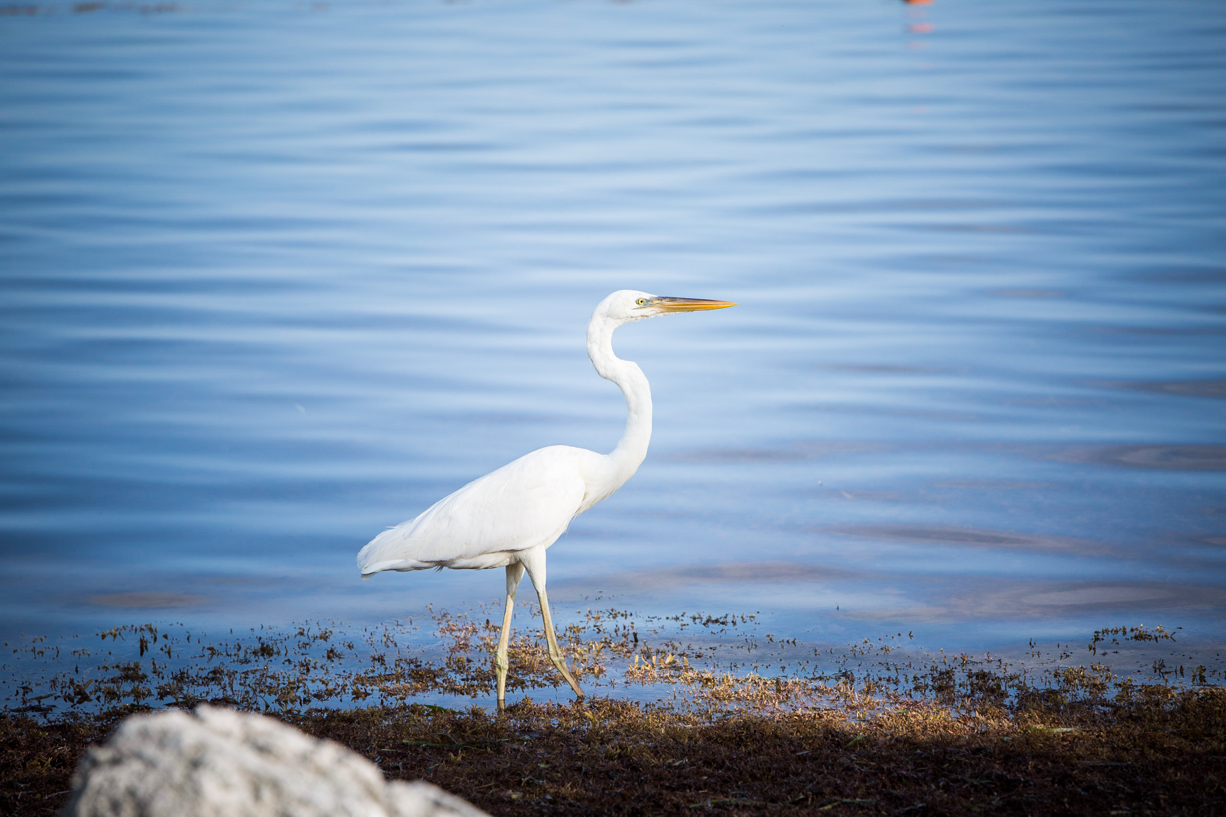 216-Cvilikas_190624-640_1033_KPorterPhoto_SLIDESHOW.jpg