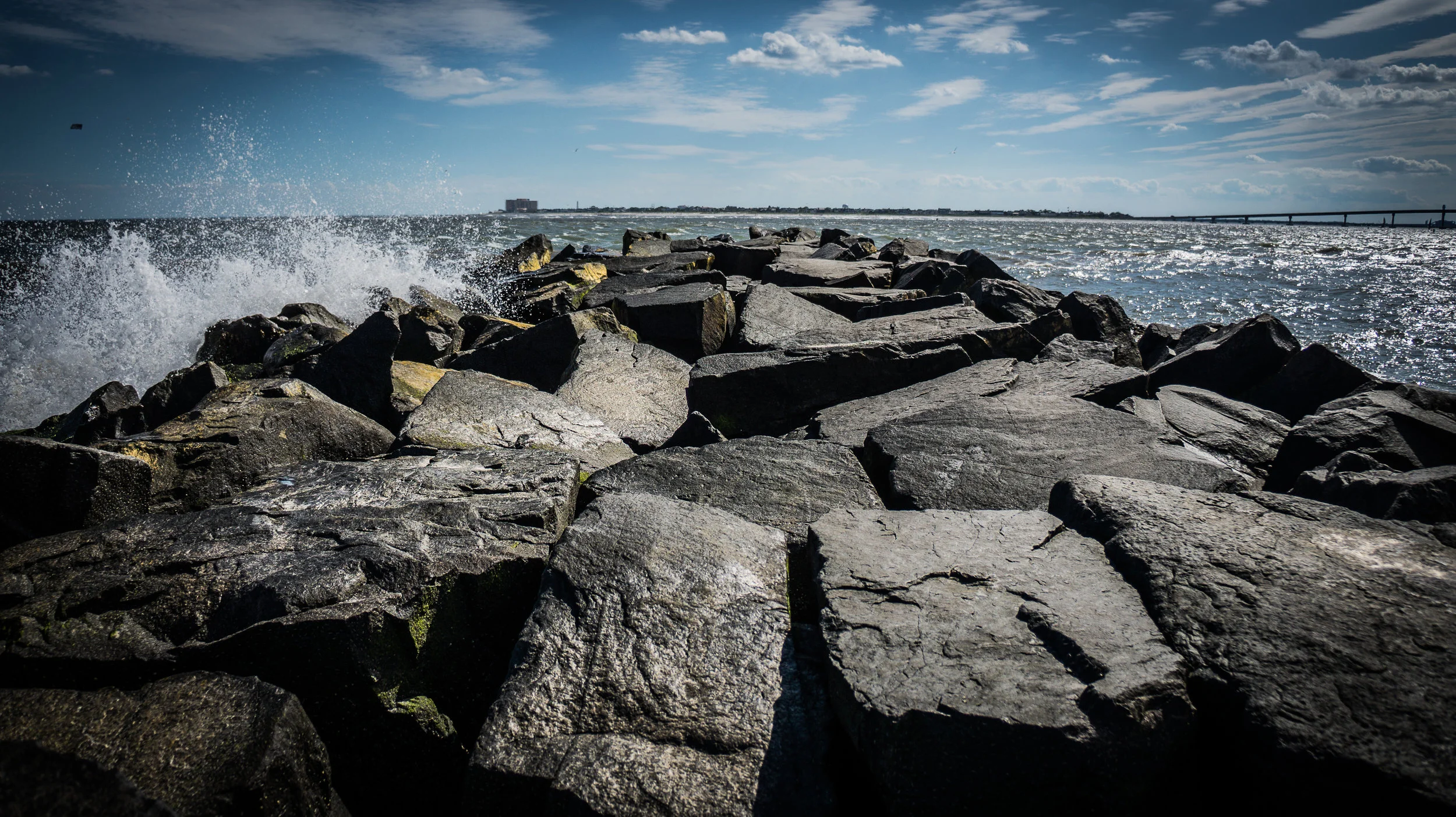_DSC8156-4.jpg