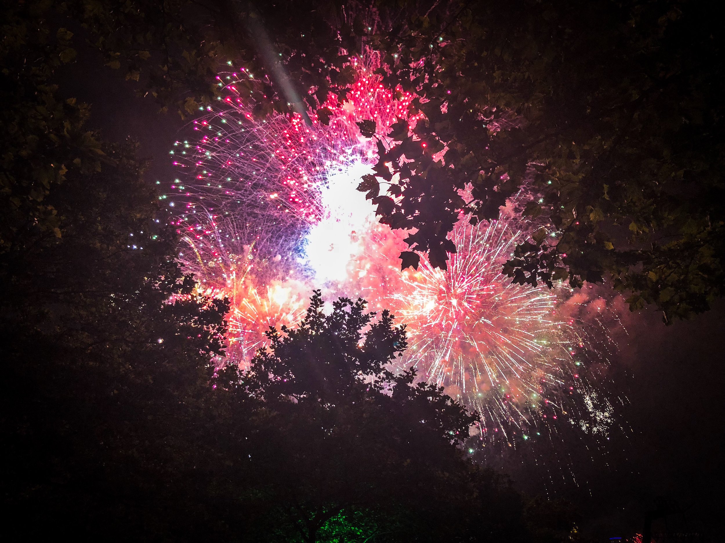 5E210831-D657-4774-9511-8C47A30EFE28.jpeg