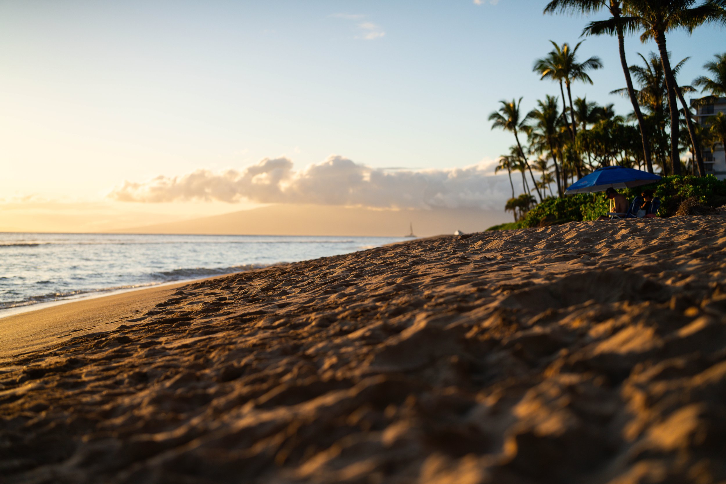 Sunset view of a sandy beach with palm trees, a person under a blue umbrella, and the ocean with distant sailboats.