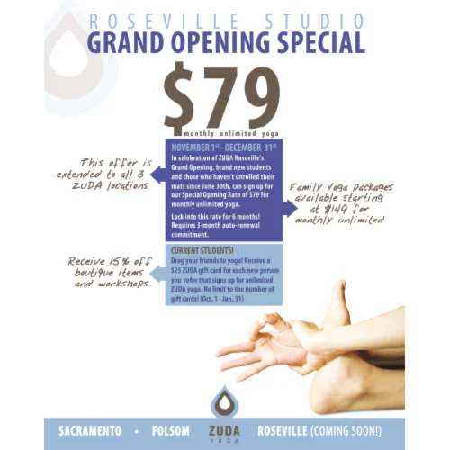 grand opening poster