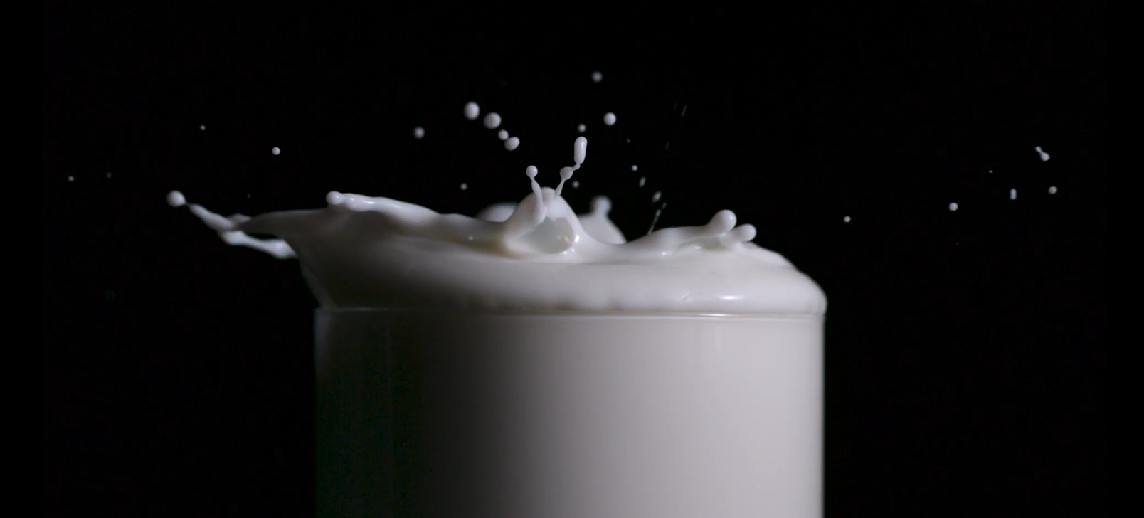 Screenshot 2024-12-23 at 8.27.04 AM.png