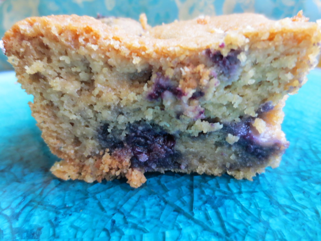 Originally posted 8/25/13 The summer is flying by but it's not too late to make this recipe. And don't forget to freeze some good local blueberries for the winter and this cake will be a hit even when the ground is snowy. Every summer growing up I could not wait for blueberry season. I'd ask my grandparents when the berries would be ready to pick in their back yard, and the answer was always around July 4th. Blueberry cake is the only recipe I remember my grandmother Gloria making. I'd collect tiny wild blueberries in paper cups, closely watching the accumulation to see when we'd have enough for cake. In honor of my grandmother, I like to make blueberry cake every summer, particularly around July 4th. This is the first time I've made it gluten-free, with less sugar, and hemp milk instead of cow's milk. This recipe test is part of my project to make healthier versions of family favorites. The recipe makes 2 8x8 pans. You'll enjoy having two cakes to share with company, or eat one now and freeze the other. If you're bringing the cake to a party or a picnic, transport the cake in the pan and cut slices from there, or bake in muffin papers. The cake has a delicate crumb. I think it would also be delicious ifyou sprinkled chopped pistachios over the top before baking. It won't last a long time because it is so moist, so plan to eat it within 48 hours or freeze it for later. Gloria's Gluten-free Blueberry Cake Ingredients: 2 C oat flour- To make your own see the note below. 1 1/2 C gluten free flour blend (see note) 1 1/2 C coconut sugar 1 C almond flour 4 tsp baking powder 1 tsp sea salt 1 tsp ground nutmeg 4 large organic free range eggs, beaten 1 C melted organic salted butter, cooled (Use unsalted butter if you prefer. I always use salted. And note that paying for organic is worth it when it comes to dairy. You'll be able to taste the difference.) 1 3/4 C hemp milk (or other nut or dairy milk)- To make your own see the note below. 1 tsp vanilla extract 4 C blueberries, washed, and tossed with 1/2 C gluten-free flour blend (Tossing the berries in four helps suspend them in the batter so they don't all end up on the top or bottom.) Procedure: 1. Preheat the oven to 350 F. 2. Oil (with melted butter, ghee, or oil) and flour (with gluten free flour blend) two 8x8 inch pans. 3. Combine flours, coconut sugar, salt, baking powder, and nutmeg in a large bowl. Whisk to combine well. 4. Making a well in the flour, add melted cooled butter, beaten eggs, hemp milk, and vanilla. Stir to combine, mixing dry and wet ingredients. 5. Add blueberries, and gently fold them into the batter. Do not mix too much at this point. 6. Divide the batter in half and pour into prepared pans, evening out the tops with a spatula. 7. Bake at 350 F for about 45 minutes or until the center is set and a toothpick comes out clean. 8. Let cool. Slice, serve, and enjoy! Notes: -Oat flour: if you have a Vitamix or another high powered blender, you can make your own flours. The trick is to not overfill the blender. Do 1.5-2 C at a time and use the tamper tool to move the oats around as they grind. This will help cool the oats and get a more even grind. I like to make a larger batch and store it in the fridge so my prep time is reduced for other recipes. -Coconut sugar is wonderful to work with! It can be substituted 1:1 for regular sugar and has a much lower glycemic index. I recommend straining over a mesh strainer to get any lumps out of the sugar. -Gluten-free flour blend: combine 4C sorghum flour, 1 1/3 C tapioca flour, 2 C potato starch, and 2 tsp xanthan gum. Stir well. This is my equivalent to a whole wheat flour. It's nice to make a double batch and have it ready to use. -Hemp milk: so easy it's life changing. Put 1/4 C hemp seed in the blender with 3 1/2 C water. Blend until smooth. You can strain it if you want but it's not necessary for baking, and for coffee and tea, the sediment sinks to the bottom. Try it with a pinch of sea salt, a dash of honey or agave, some cinnamon, cardamom, or vanilla extract.