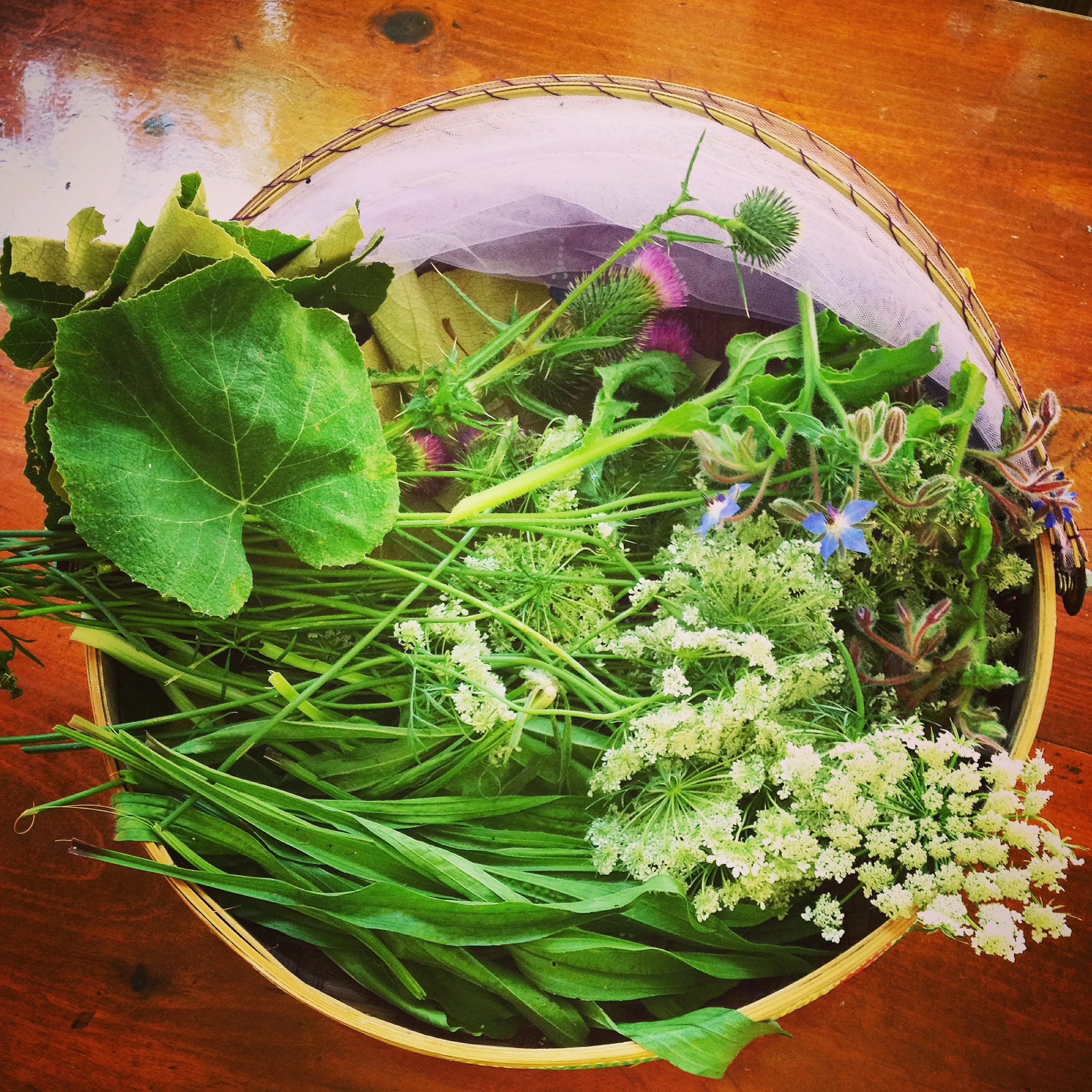 herbbasket.JPG