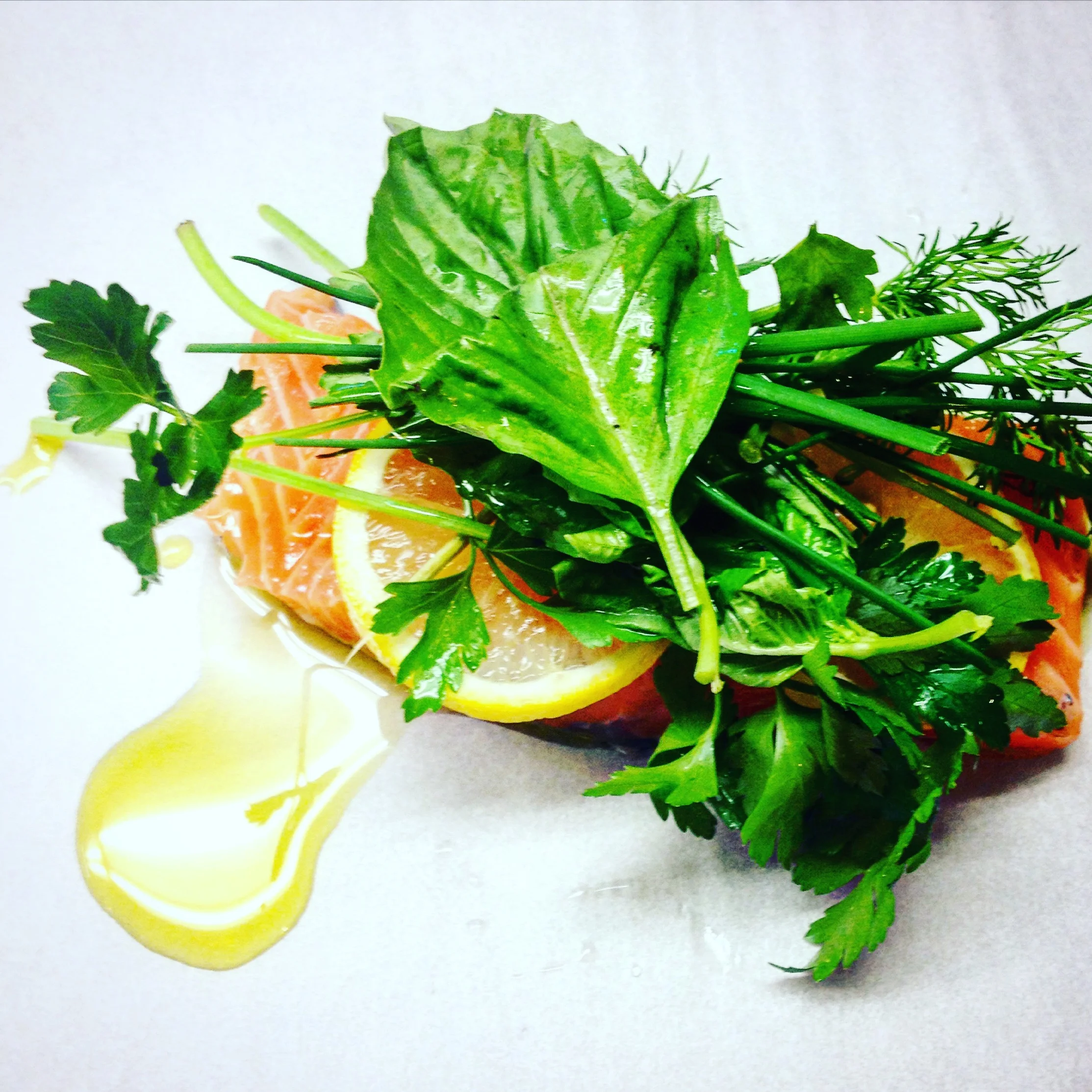 salmon.JPG