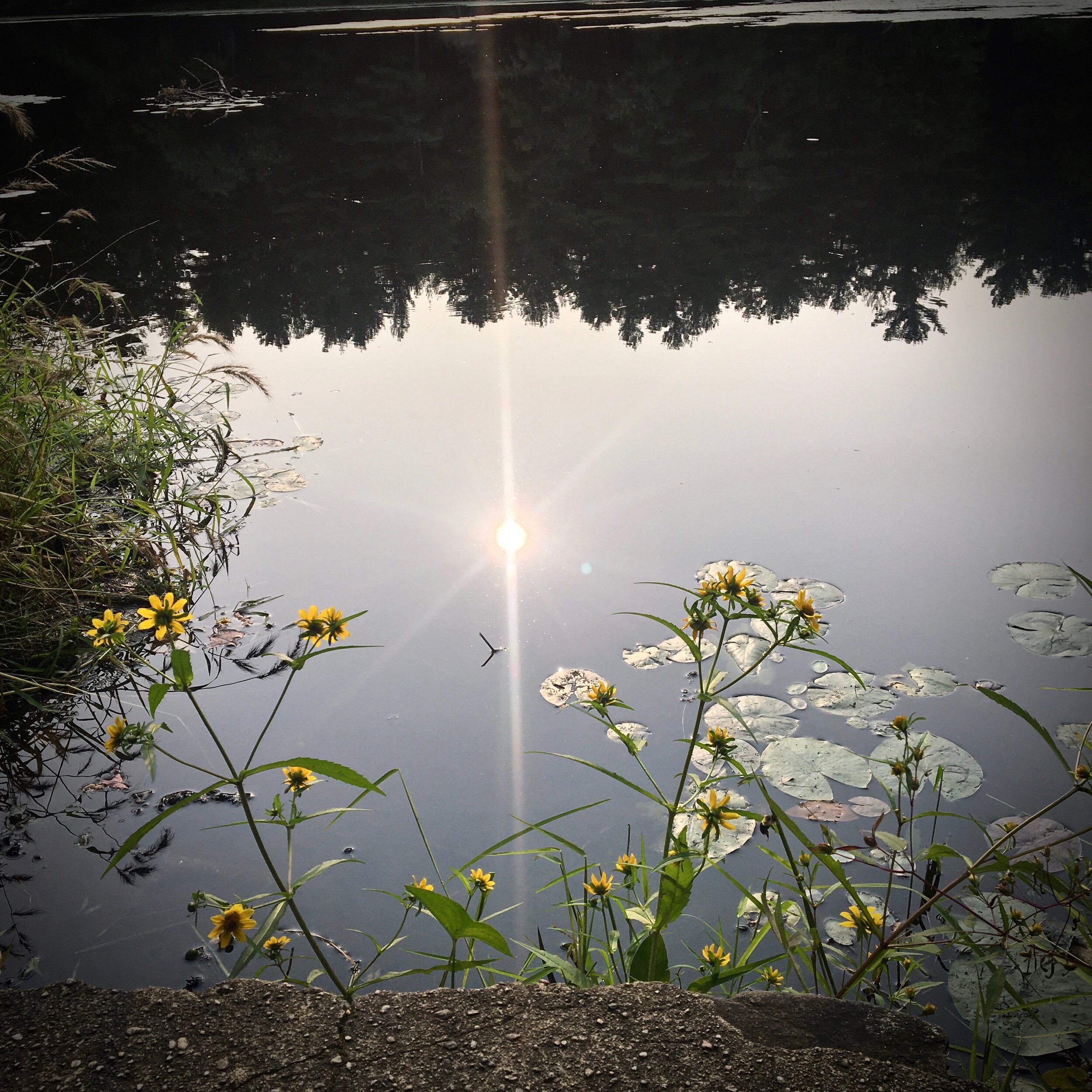 September New Moon and Mabon Greetings