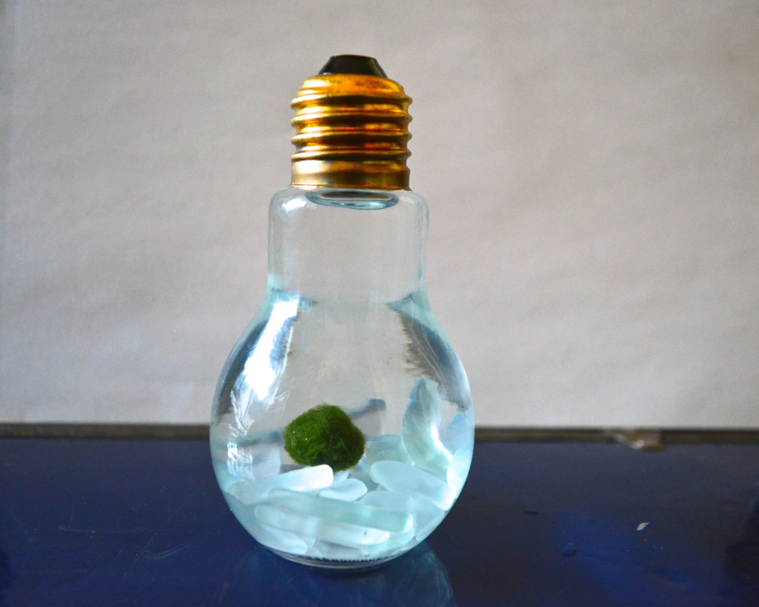 DSC_0212 - Version 2.JPG