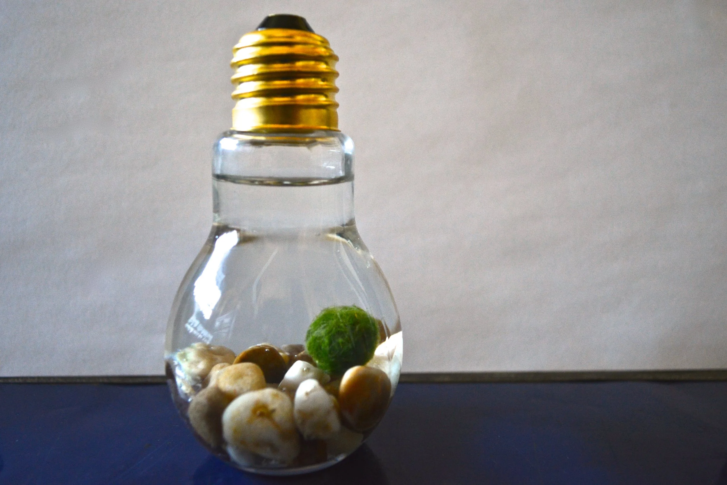 DSC_0201 - Version 3.JPG