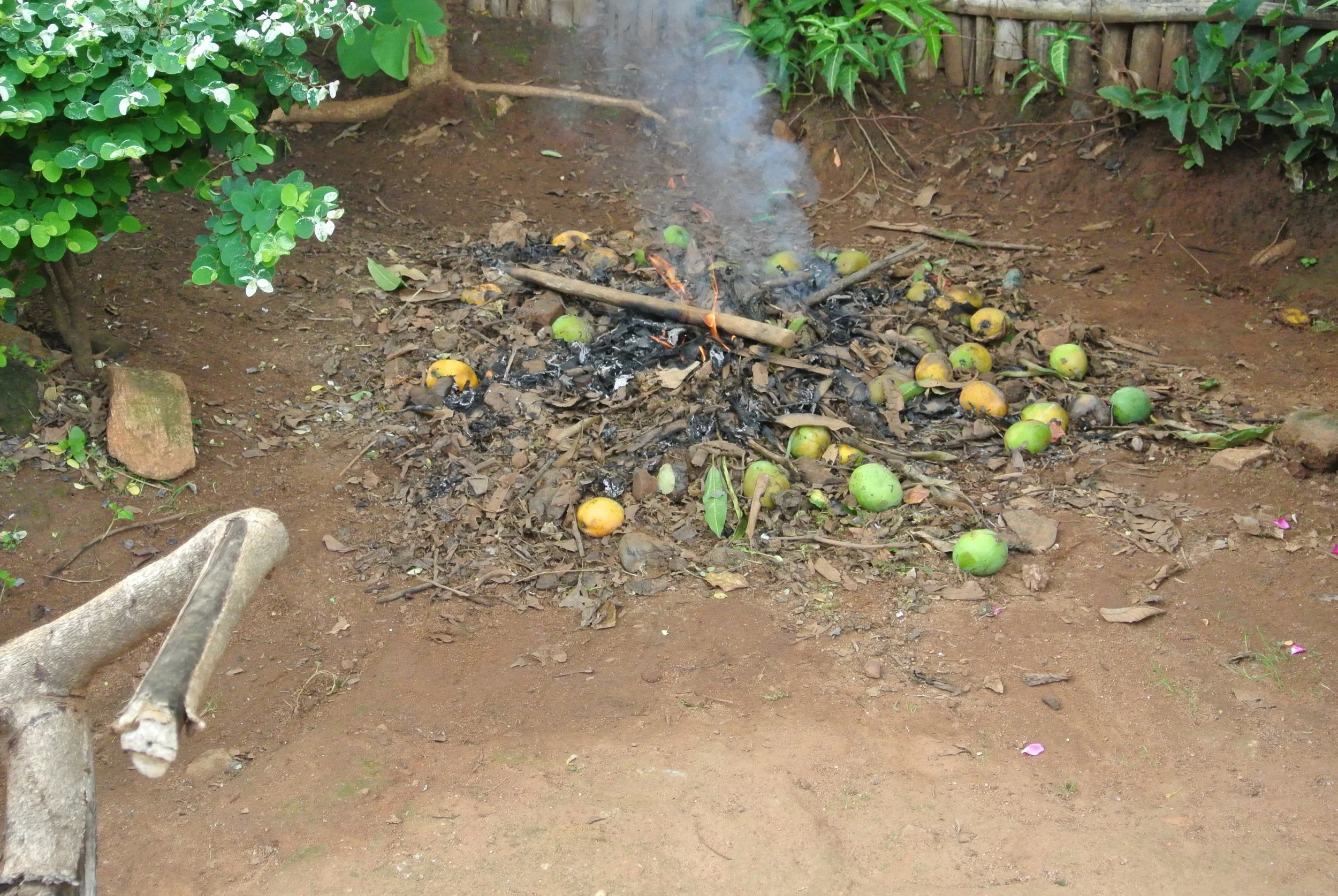 Burning organic material to create charcoal in Malawi.