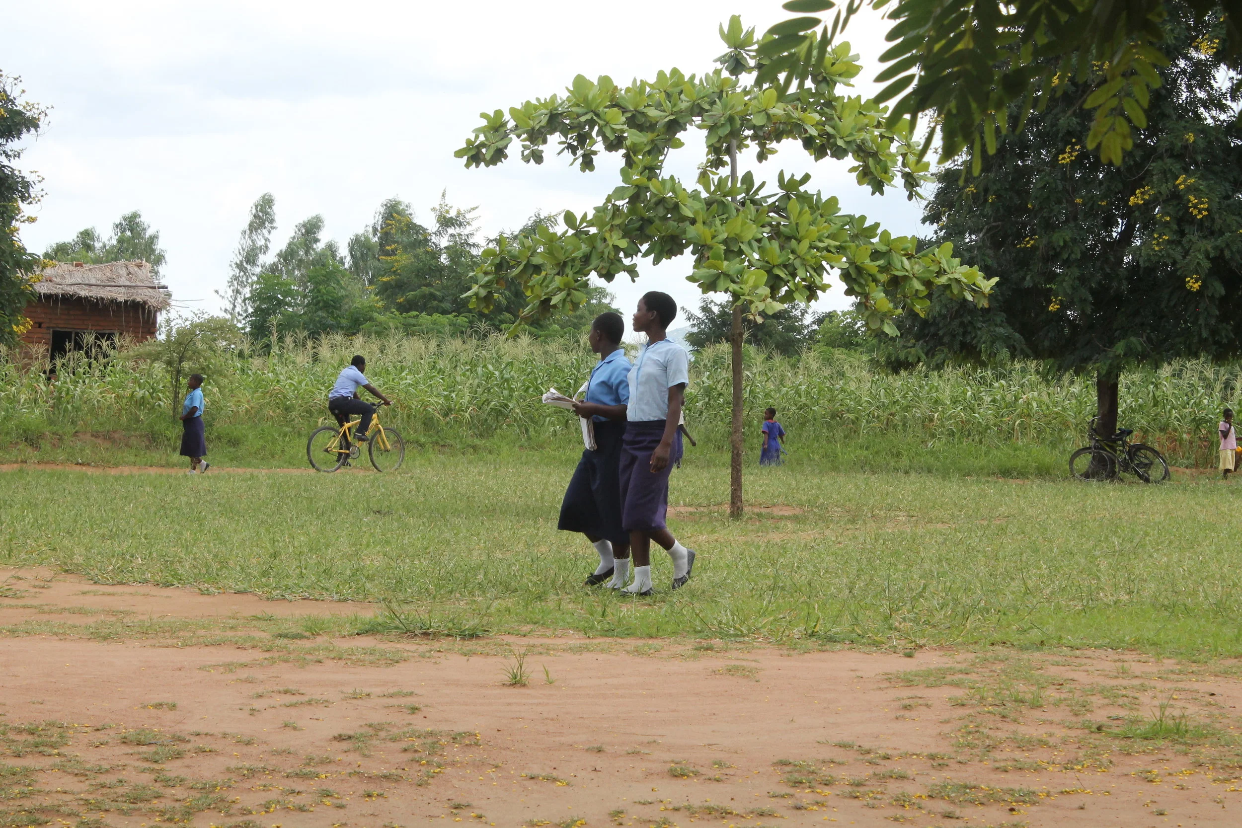How are Teachers Able to Focus on Malawi's New Urgent Guidelines? Making Sense of MSCE, JSCE &amp; Teacher Training