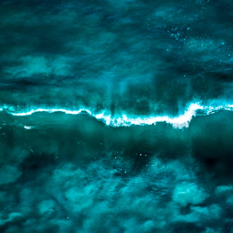Wave 1 - in blue