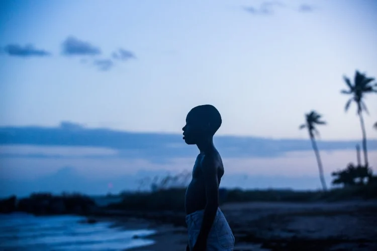 The many meanings of 'Moonlight'