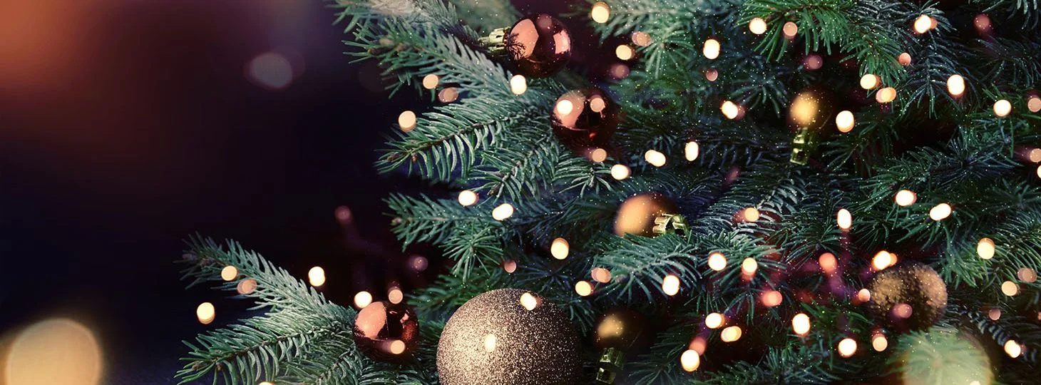 2017 Hollywood Gift Guide