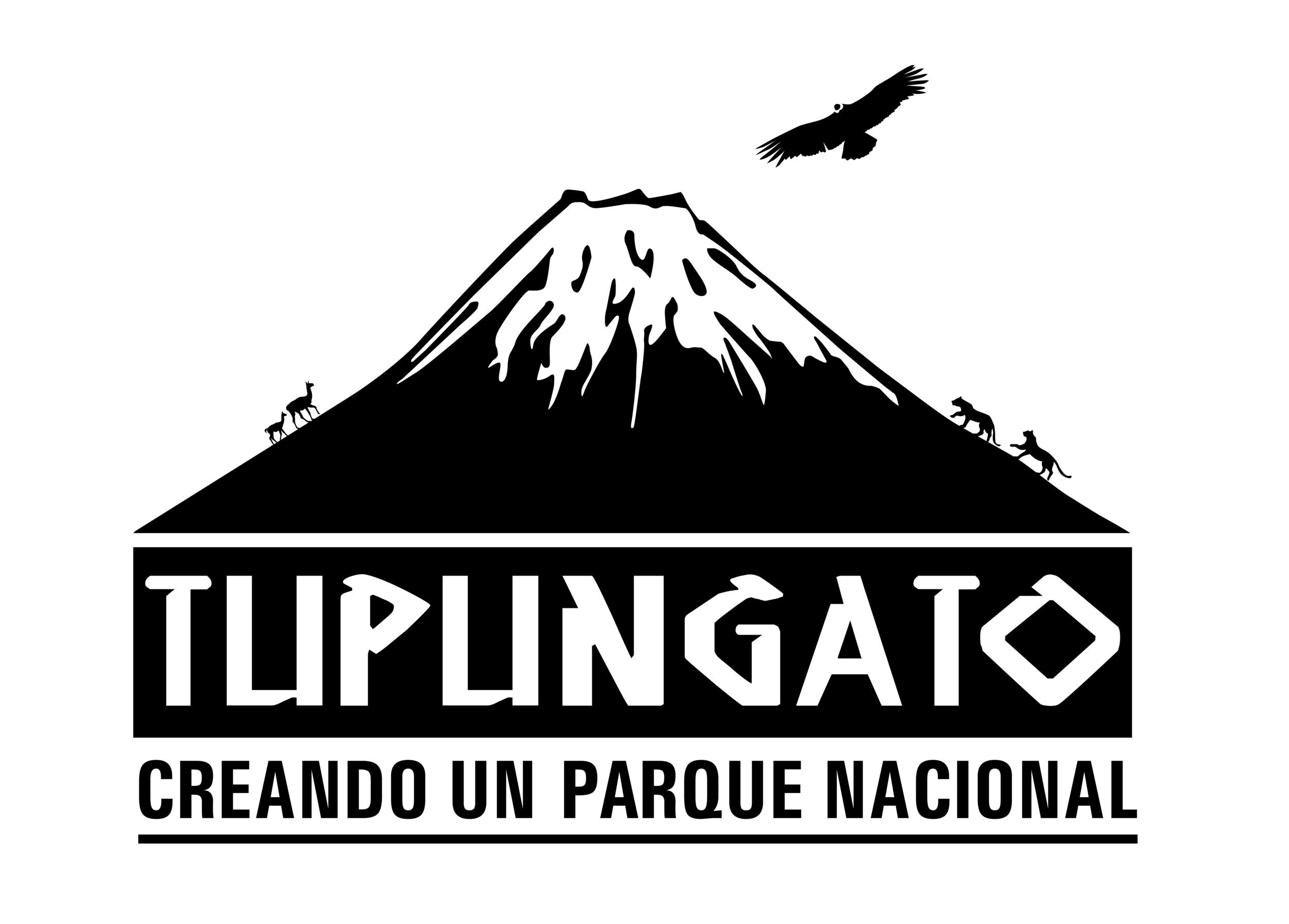 TUPUNGATO_TRANSPARENT_ESPANOL.png