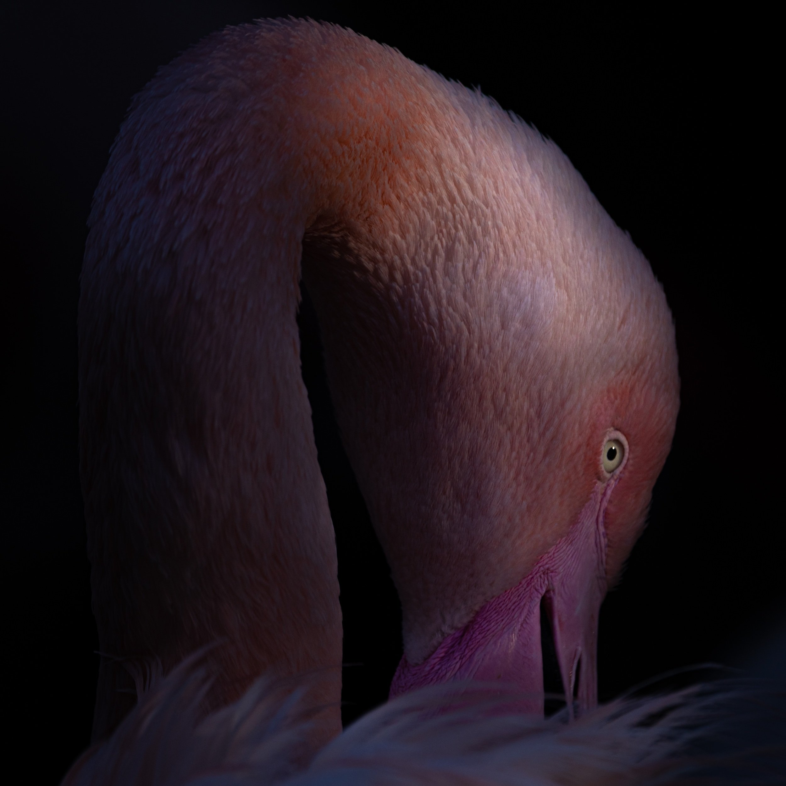 DSC_6712.jpeg
