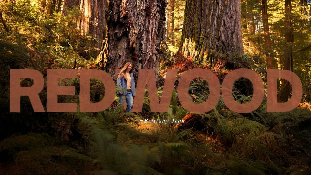 The first time I visited the Redwood Forest, it felt like home.

It was breathtakingly new to me, but I also... felt as though I'd been there before.

It really is like walking into a cathedral, growing right out of the ground under your feet, castin