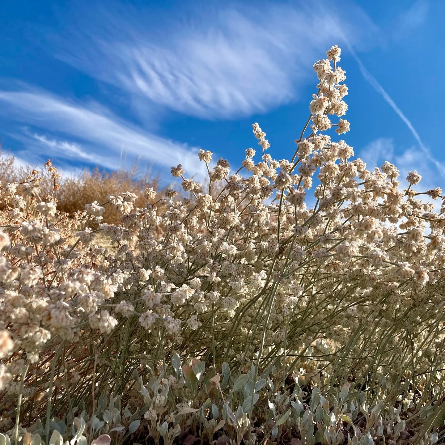 Pieces of fall I&rsquo;m saving for a rainy day&hellip;