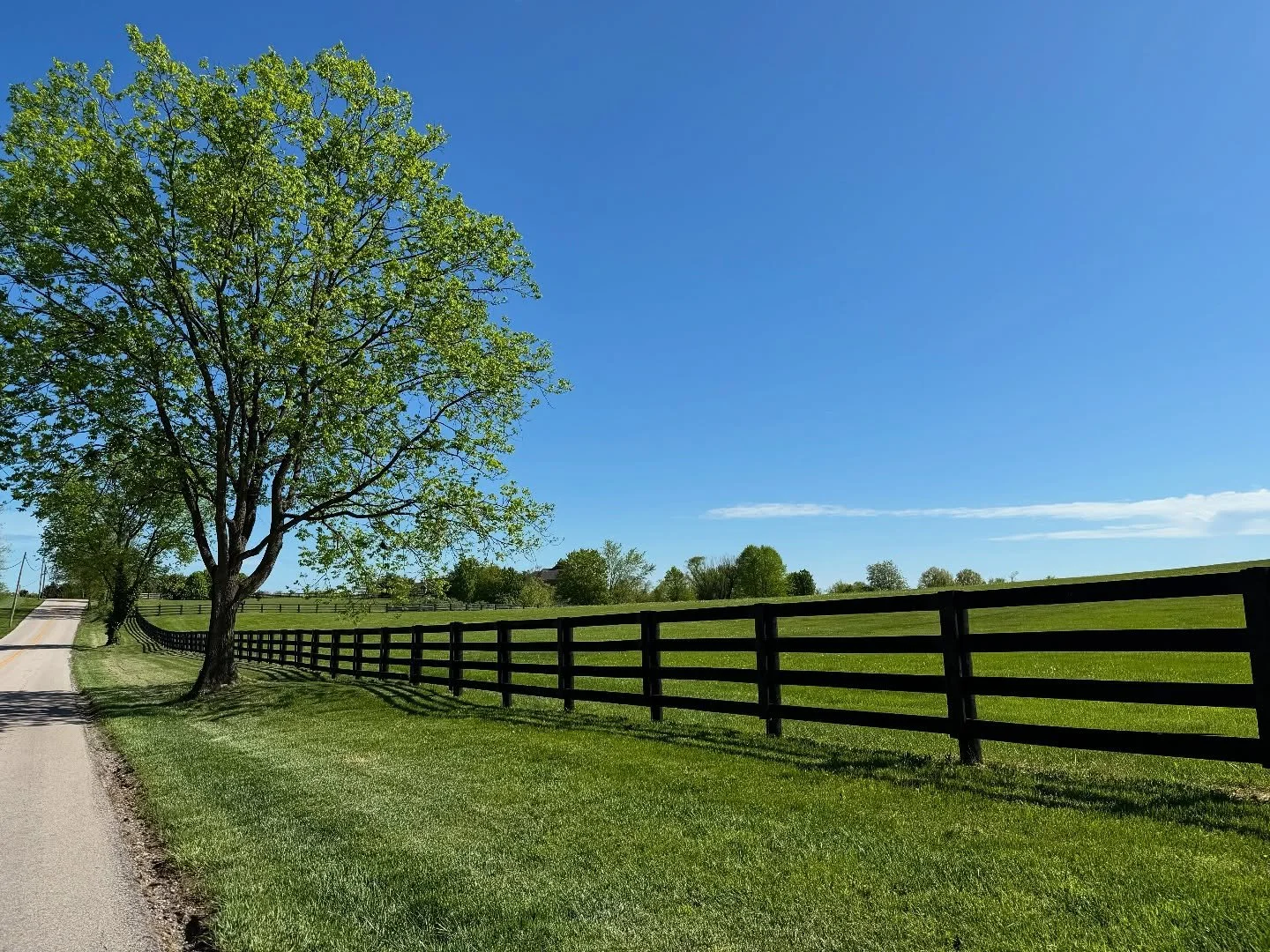 Just over here thinking about Lexington, KY, and how gorgeously green it is&hellip;

I&rsquo;m so looking forward to getting back on the road for all these upcoming shows&mdash;Newport and Green Bluff, WA, this weekend!

Summertime is almost here, fe