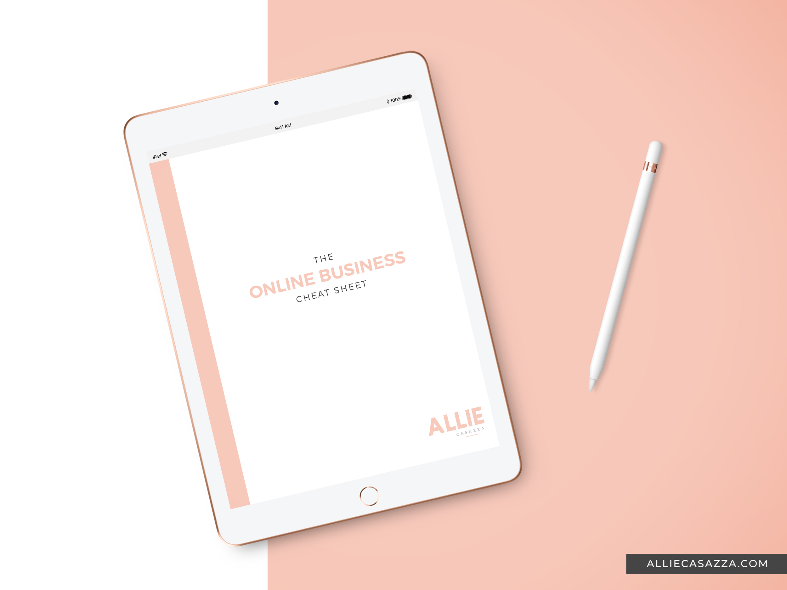 OnlineBusinessCheatSheet-Mockup-iPad.png