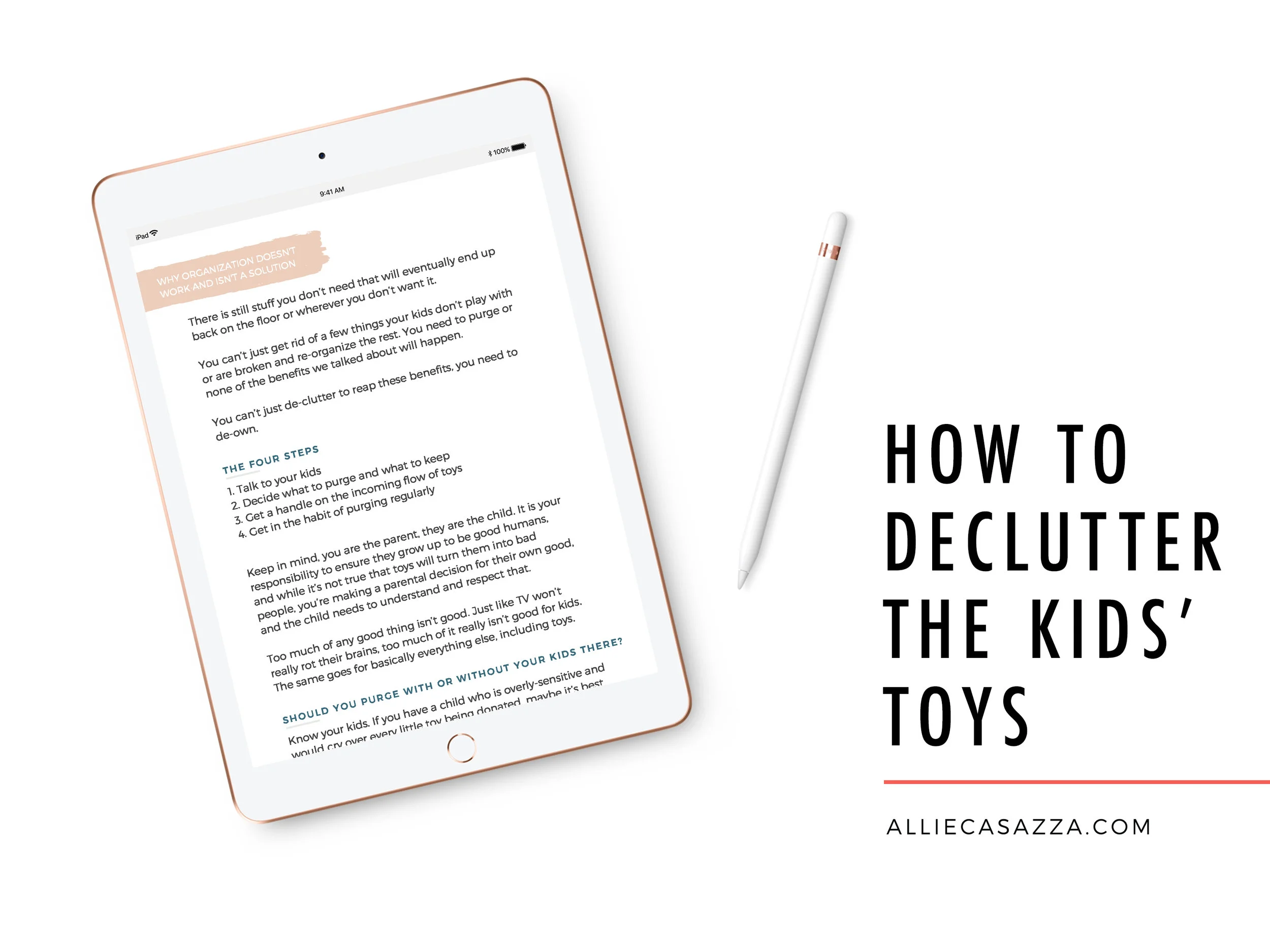DeclutterTheToys-ipad-PromoImage-straight.jpg
