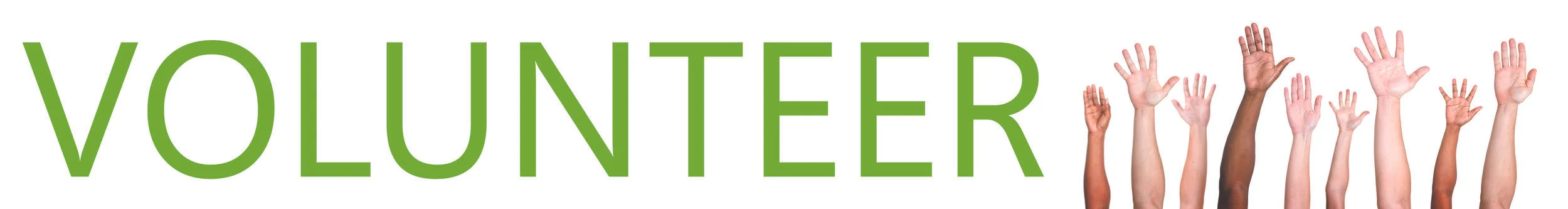 Volunteer - Website Banner.jpg