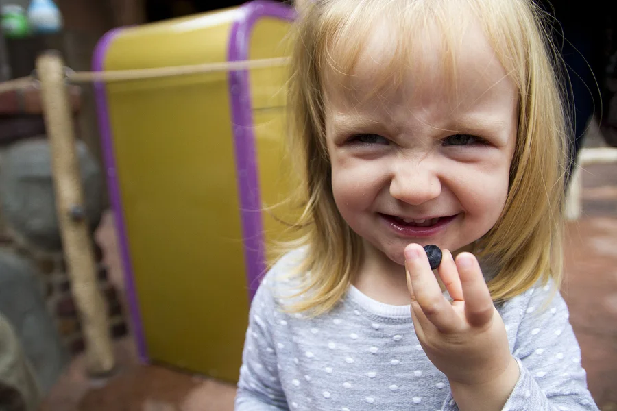 disney world vacation photographer / lifestyle family photographer / magic kingdom