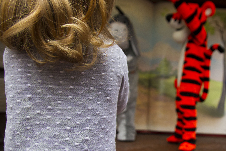 disney world vacation photographer / lifestyle family photographer / magic kingdom