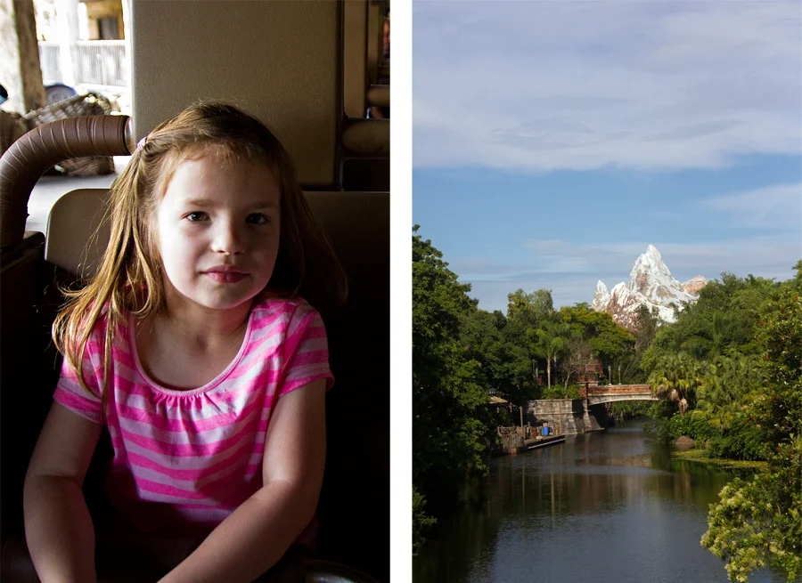 disney world vacation photographer / lifestyle family photographer / animal kingdom